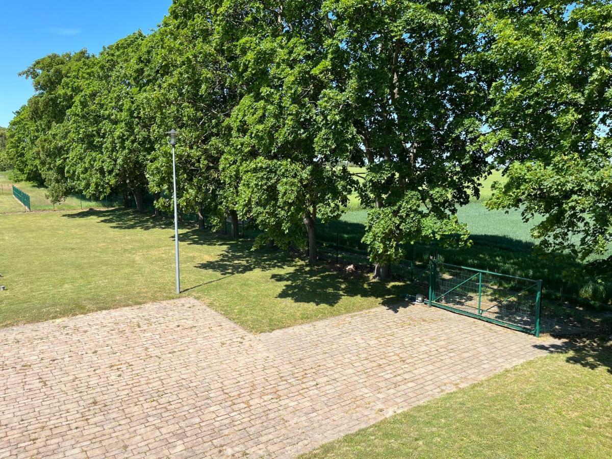 Osrodek Konferencyjno-Wypoczynkowy Pansiyon Chojna Dış mekan fotoğraf